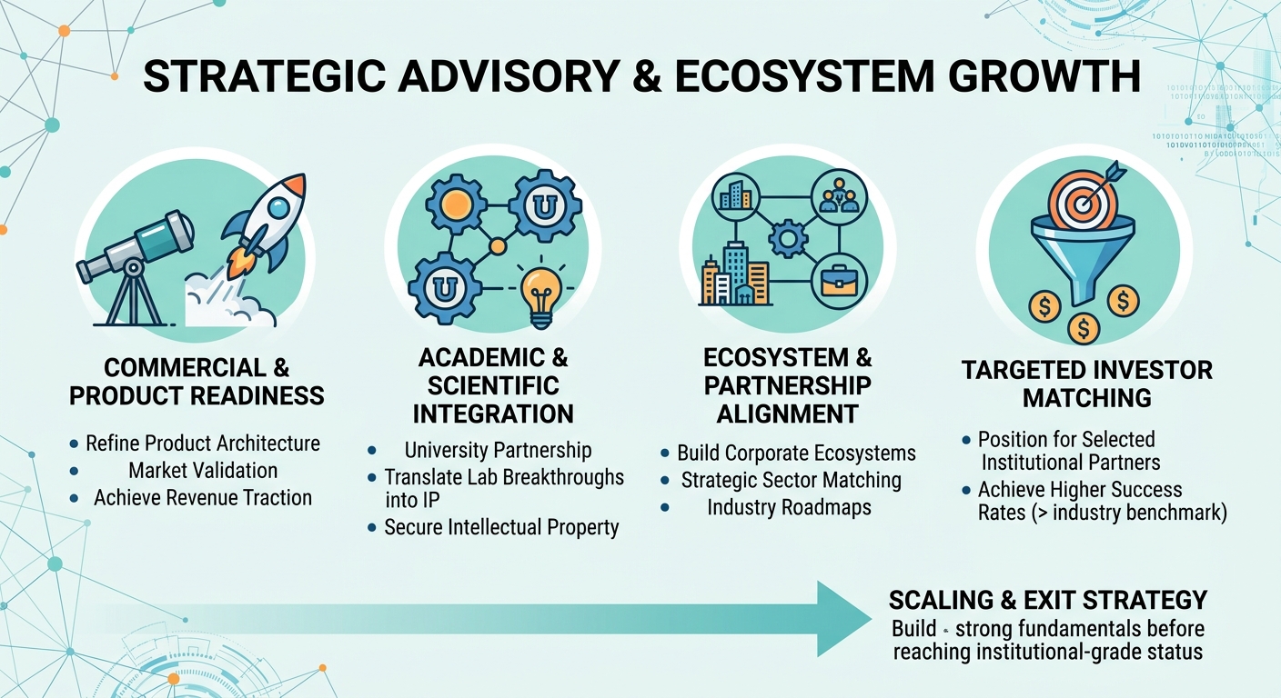 Strategic Advisory Beyond Traditional Venture Capital for Scale-Ups and Research Spin-Outs Singapore